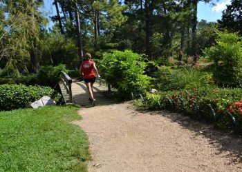 Parks in UK count on new technology to monitor footfalls
