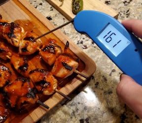 ThermoWorks Thermapen ONE thermometer review