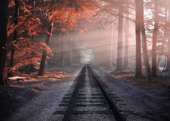 New on-board system allows trains to instantly detect ‘leaves on the line’ and other hazards