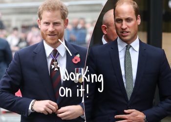 Prince Harry & Prince William Are ‘Back On Their Old Buddy Terms’ Ahead Of Queen’s Platinum Jubilee
