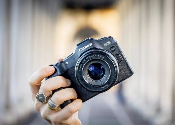 Canon adds the full-frame R8 and entry-level R50 to its mirrorless lineup