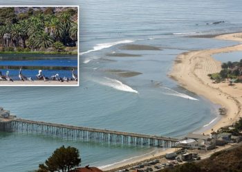 Body Found In 55-Gallon Drum At Malibu Lagoon – Deadline