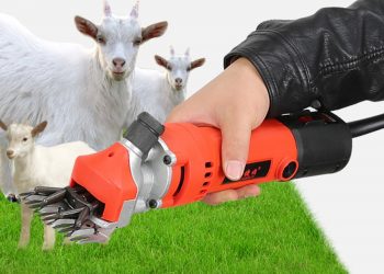 Discover the features and potential of electric wool shears