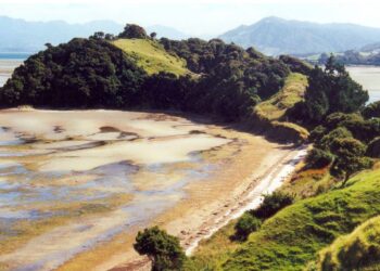 The Surprising Ingredient That Helped Polynesians Conquer the Pacific