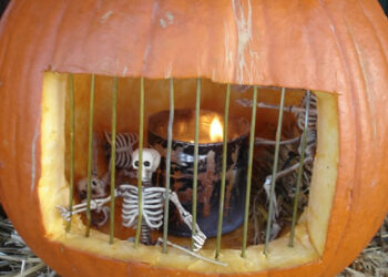 19 Creative Ways To Decorate A Pumpkin