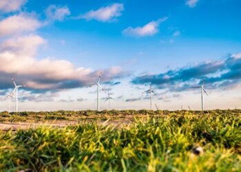 How Organizations can prioritize sustainability in 2024