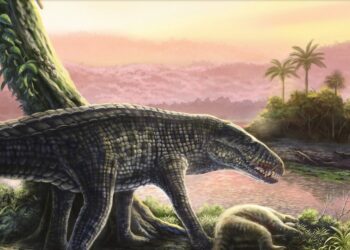 Sprinting Crocs With ‘Legs Like Greyhounds’ Once Ruled the Caribbean